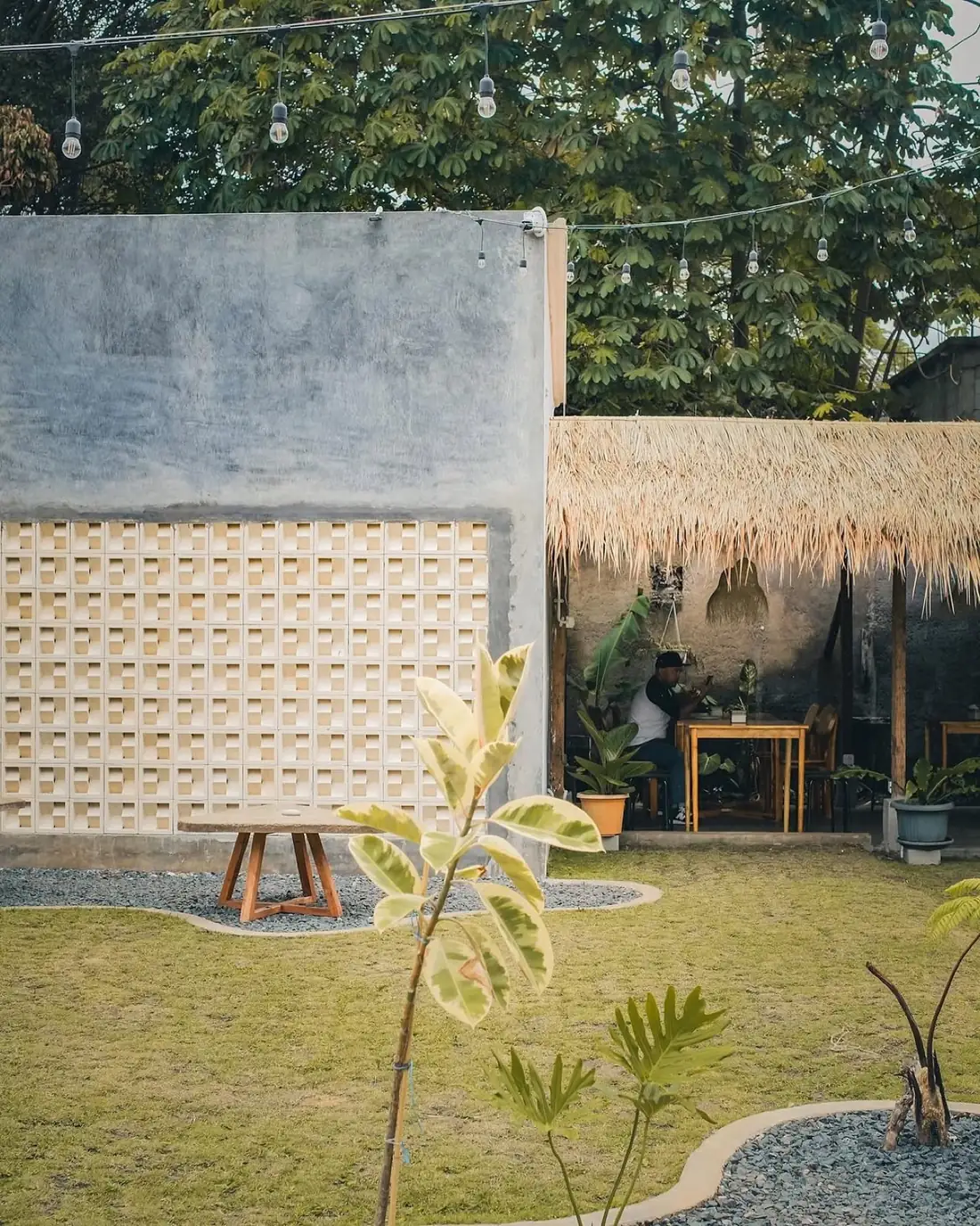 Mikha Pariwarna